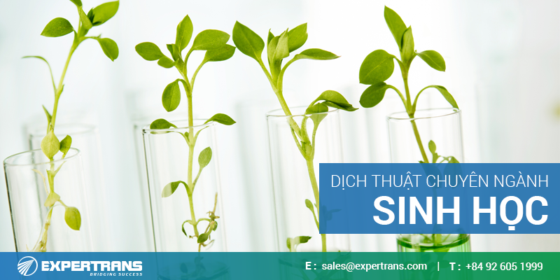 dịch thuật chuyên ngành sinh học/ translate for biology major