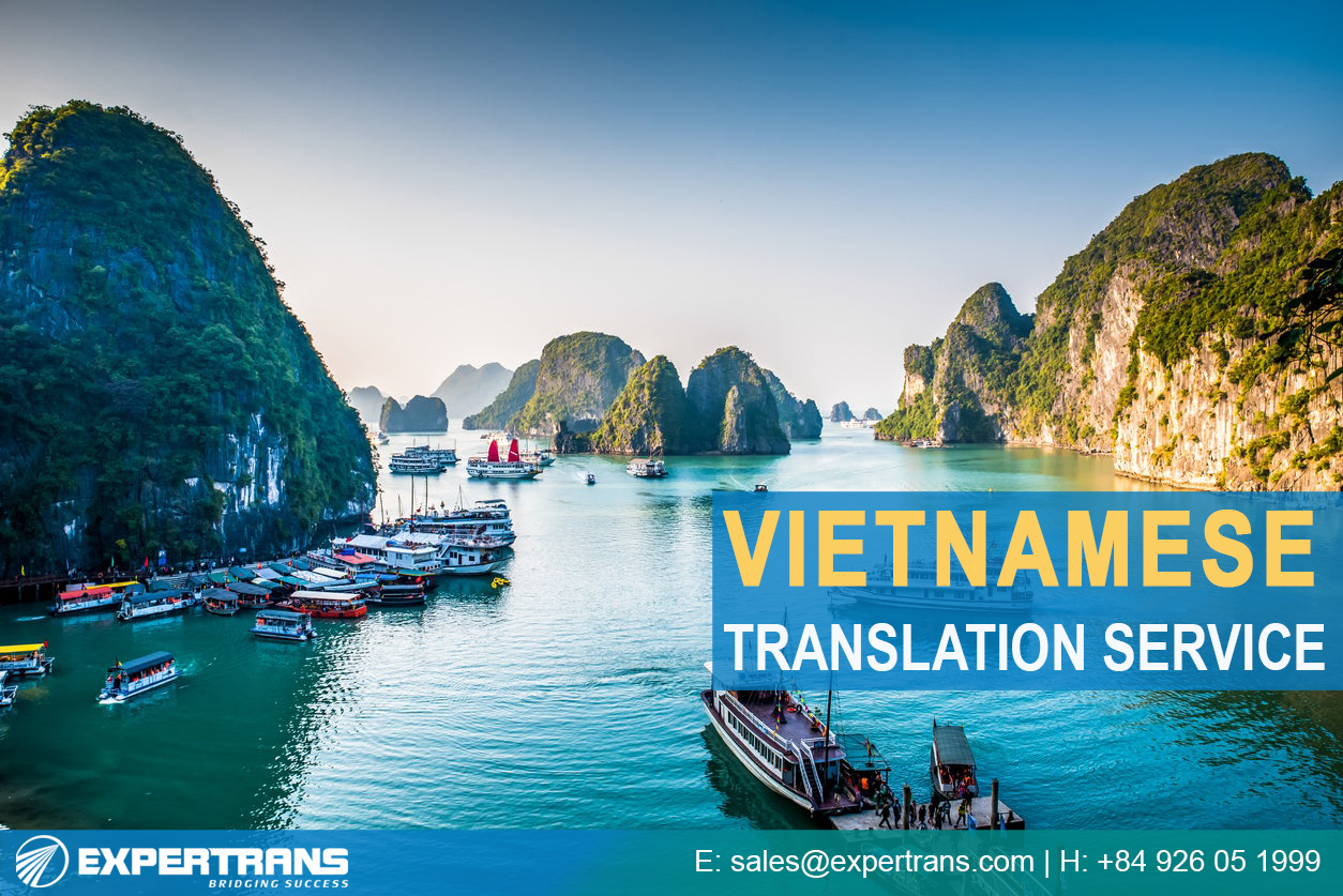 Vietnamese Translation Service