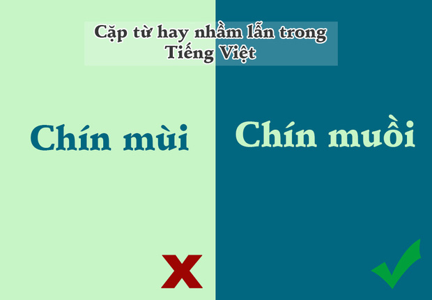Dịch thuật sang tiếng Việt - 10 từ tiếng Việt phổ biến nhưng rất dễ "lẫn lộn"