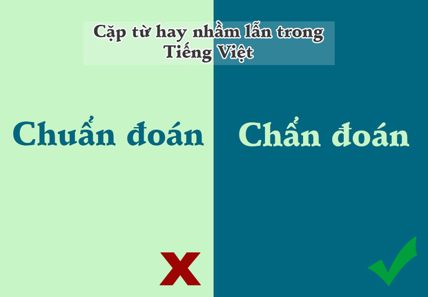 Dịch thuật sang tiếng Việt - 10 từ tiếng Việt phổ biến nhưng rất dễ "lẫn lộn"